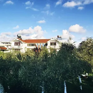 Daire Kasa, Dıraç